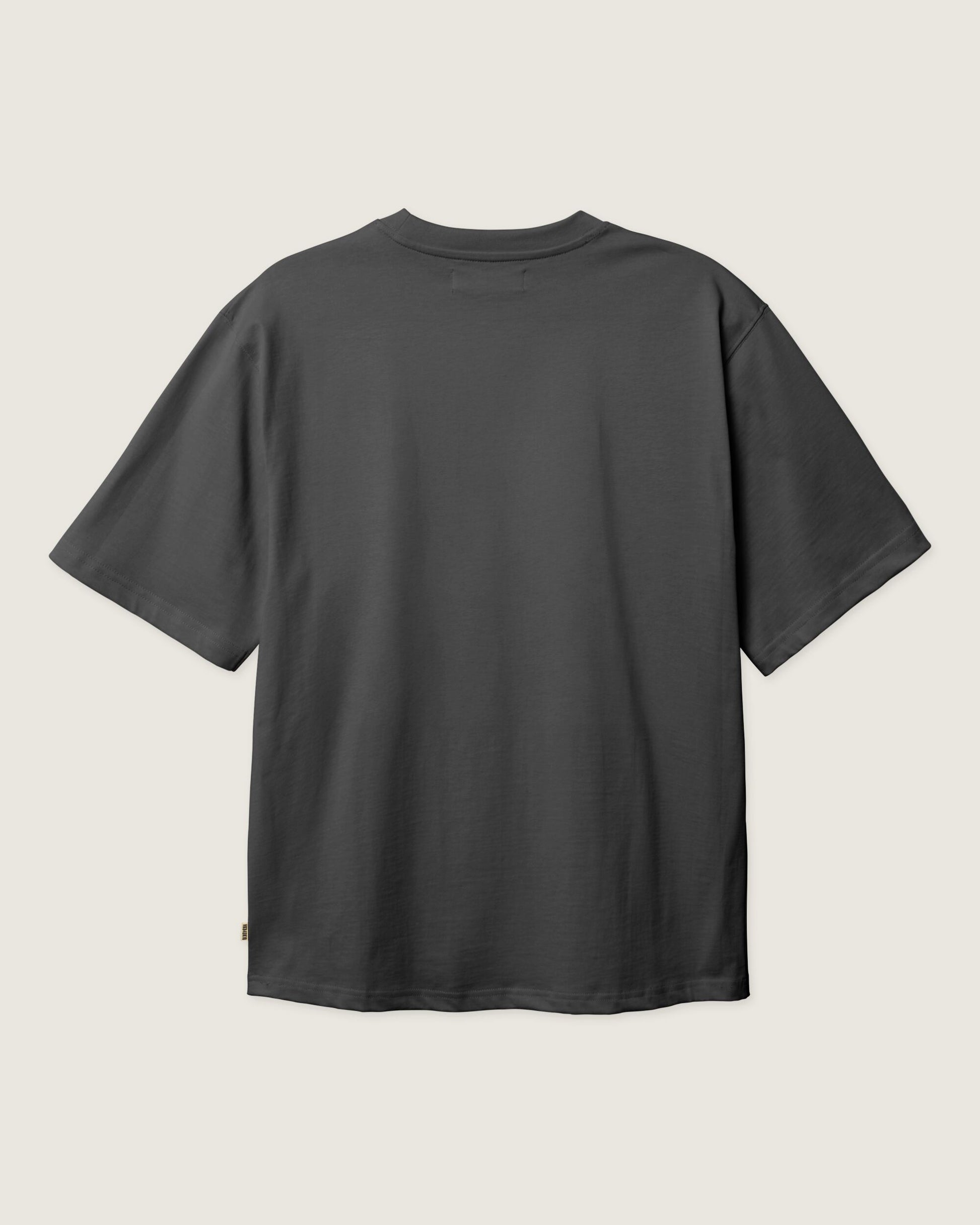 Woodbird WBBaine Base tee T-Shirts Asphalt