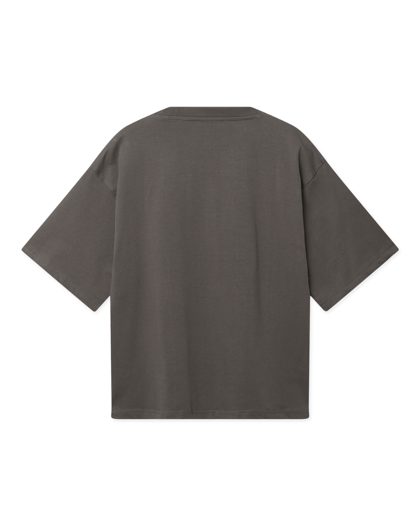 Woodbird Female WBJuno Base Tee T-Shirts Antra Grey