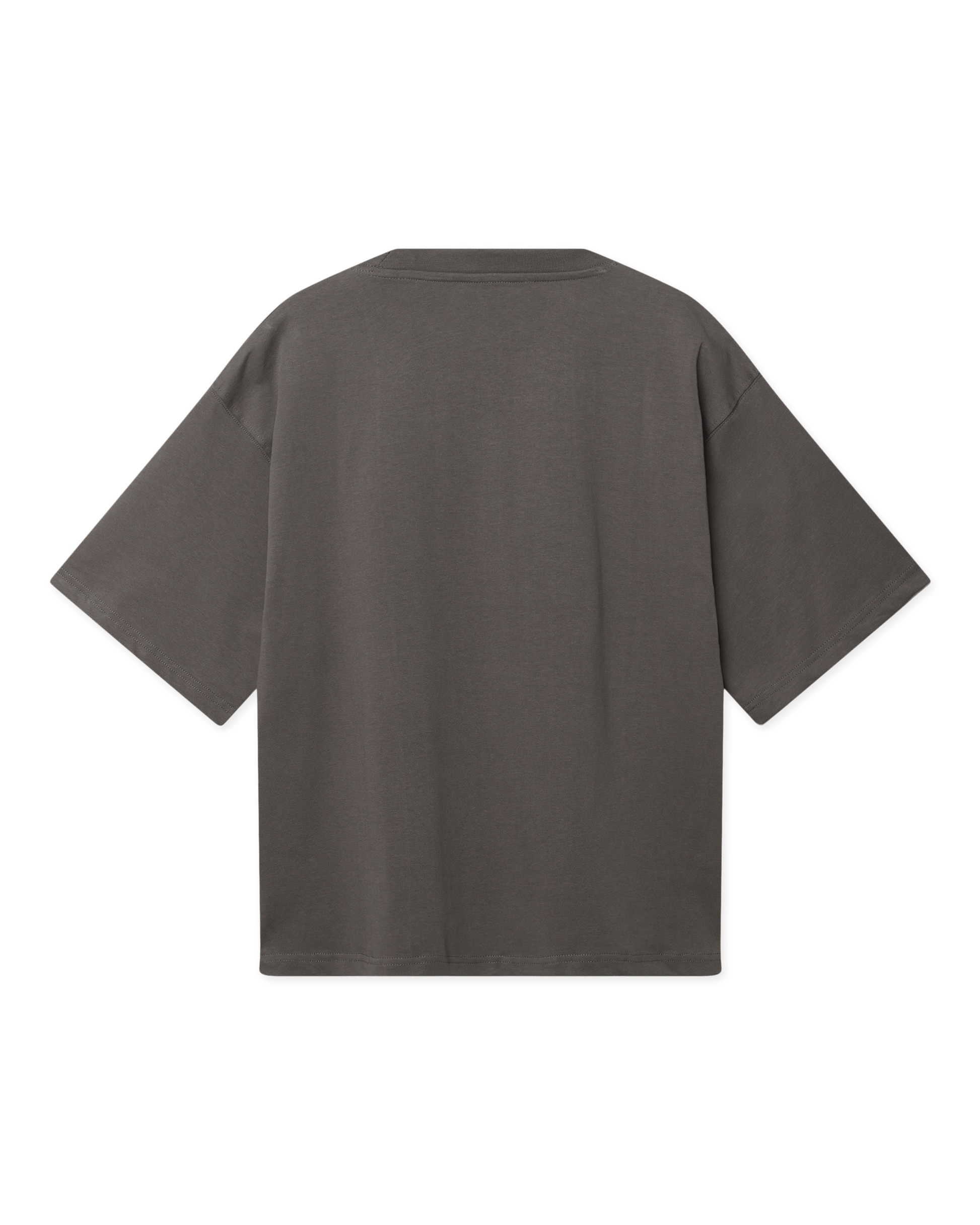 Woodbird Female WBJuno Base Tee T-Shirts Antra Grey